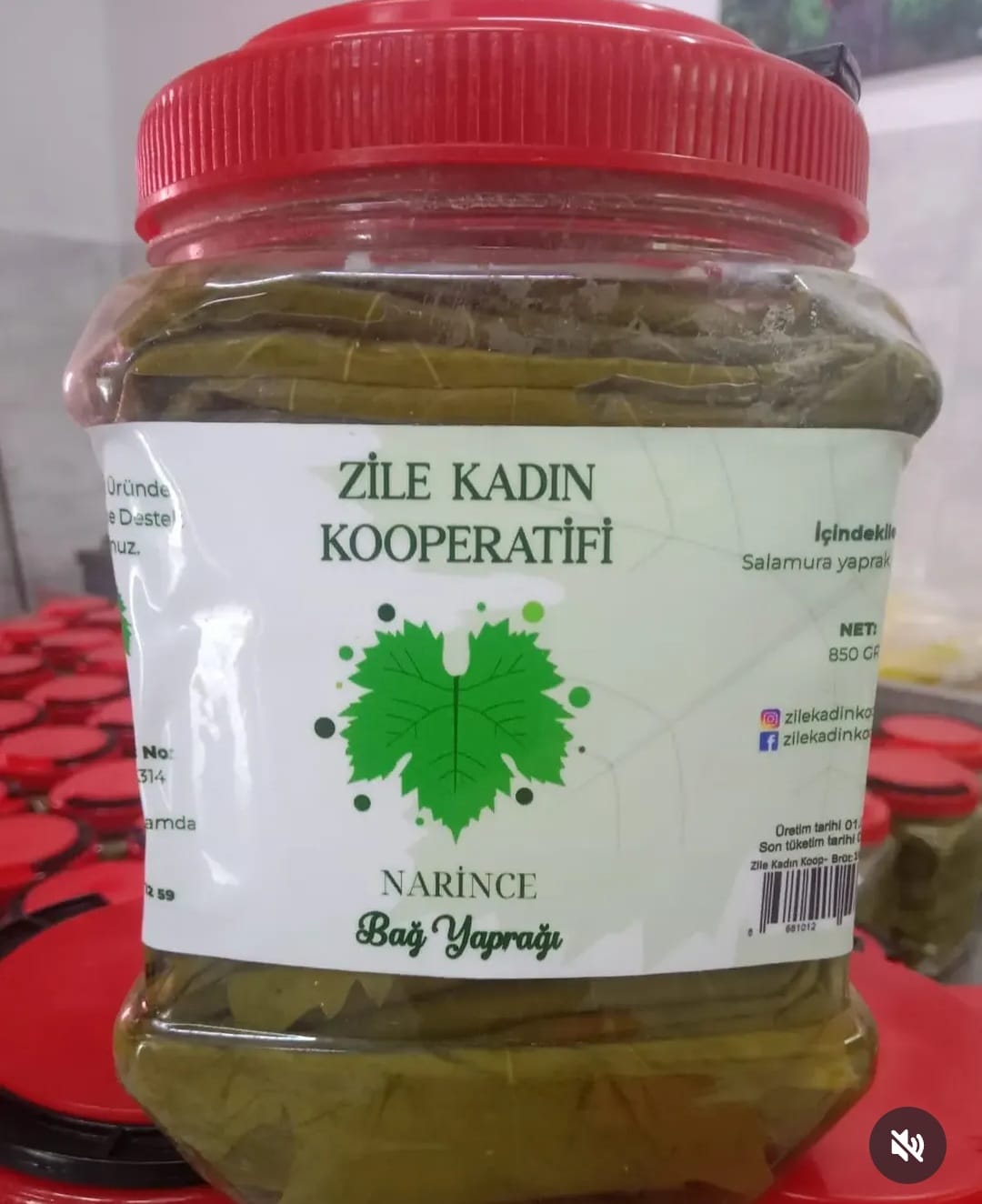 Salamura yaprak 700 Gr.