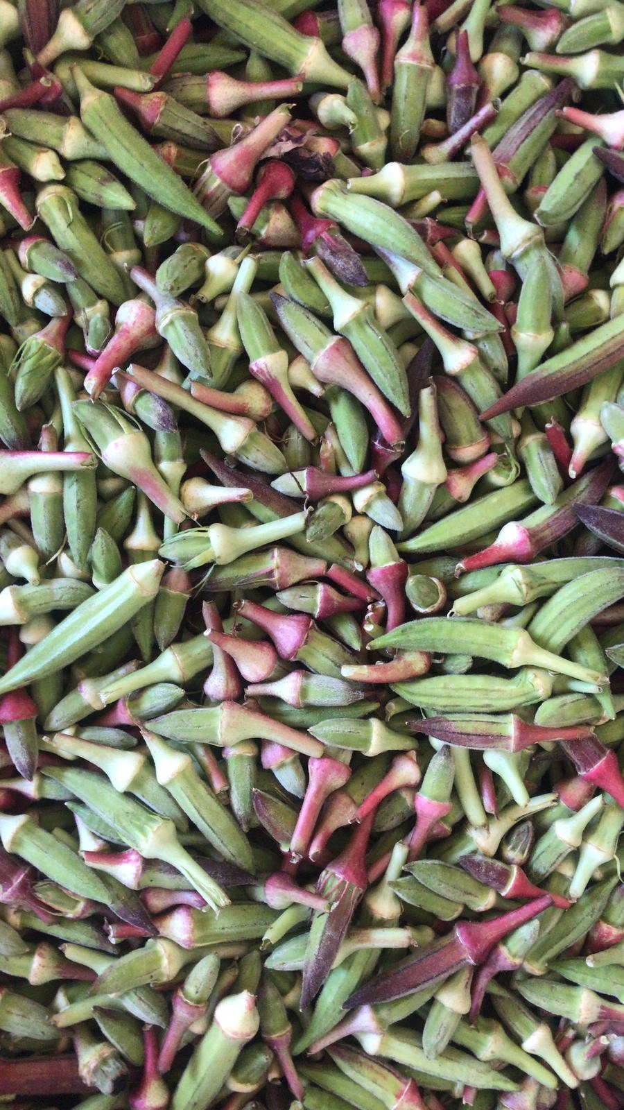Kınalı Bamya
