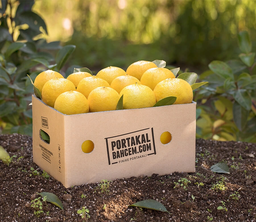 Bergamot Kg