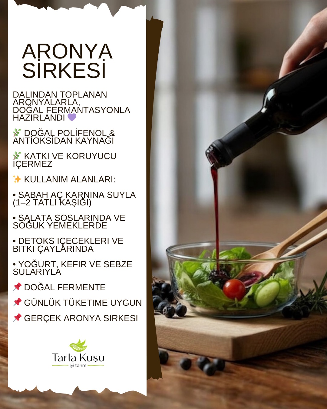 ARONYA SİRKESİ